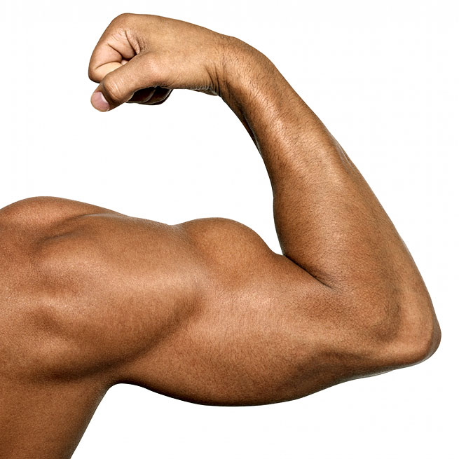 Herbalife protein bygger muskler